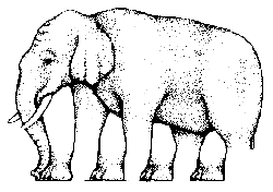 ilizyon4.gif (5594 bytes)